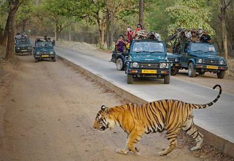 Dhikala 2 Nights 3 Days Corbett Tour