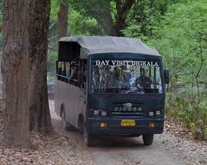 Dhikala Canter Safari Day Visit