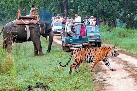 Jim Corbett Tour Packages